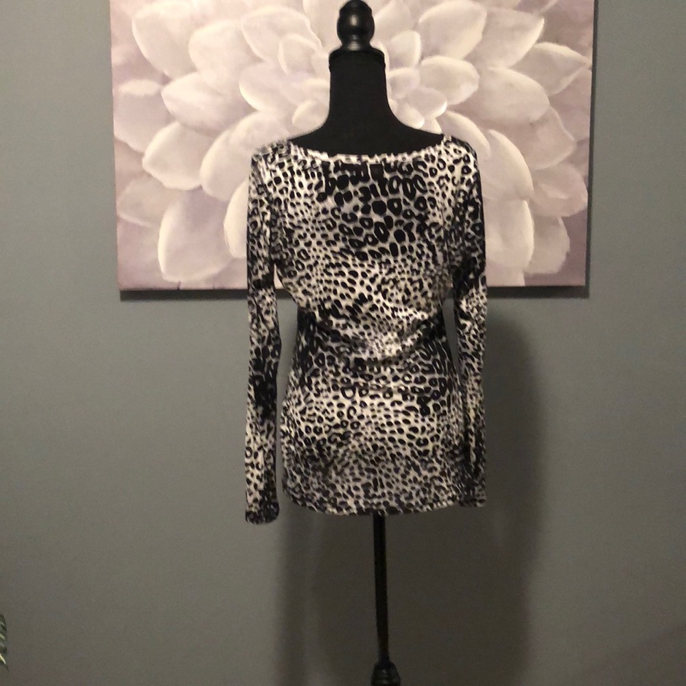 Leopard by Express - Picture 2 of 2